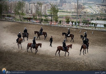 یگان ویژه اسب سواران ناجا + عکس