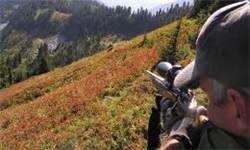شکارچی غیر مجاز در دندی دستگیر شد