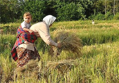 «کِرم» اروپایی‌ها برای ایران 