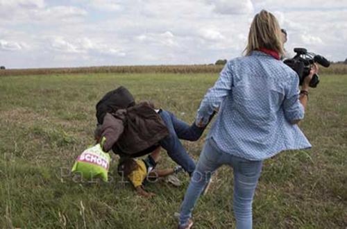 مهاجری که با لگد خبرنگار مجاری زمین خورد کیست؟