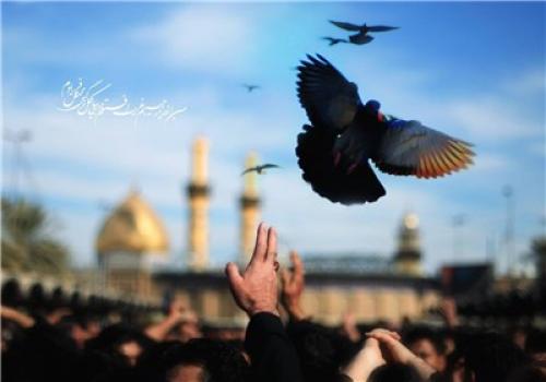 اینجا کربلا و حسین(ع) تنها نیست، همه منتظرند تا امام از عرفات راهی شود 