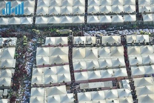 سعودی‌ها می گویند هواپیمای کوچکتر اعزام کنید/ زمان تشییع پیکر جان باختگان در تهران /کانتینرهای جدیدی به 21 کانتینر اضافه شده/ آخرین آمار از جان‌باختگان و مفقودان فاجعه خونین مِنا به‌ تفکیک استان‌ها 