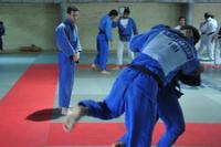 دفاع کمیته ملی المپیک از میراسماعیلی