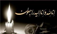 پیام تسلیت وزیر آموزش و پرورش در پی درگذشت دانش‌آموز ساریا رسول‌زاده