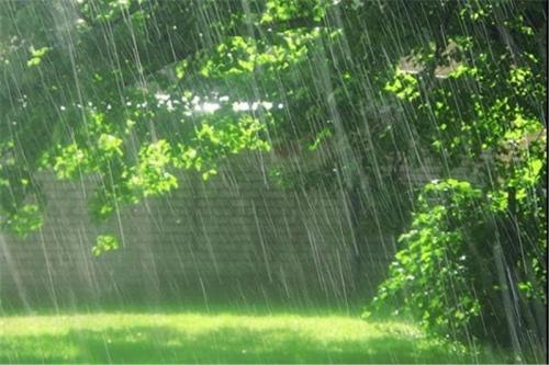 رشد 1000درصدی بارش‌ها در مرزهای شرقی ایران + جدول