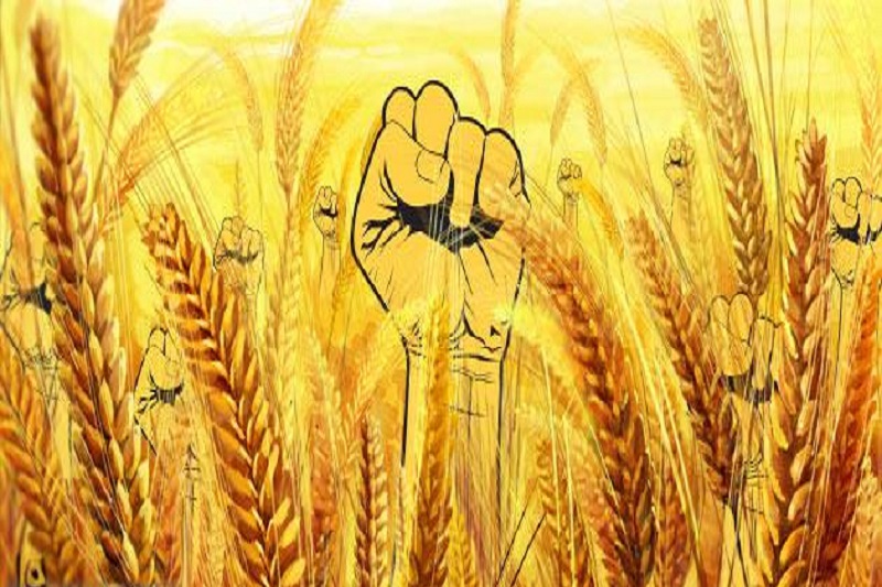 وقتی سریع القلم  استقلال  را هم زیر سوال می برد