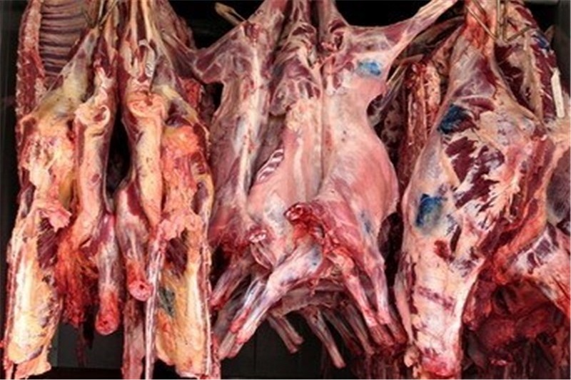  رابطه مصرف گوشت و ابتلای به بیماری سرطان
