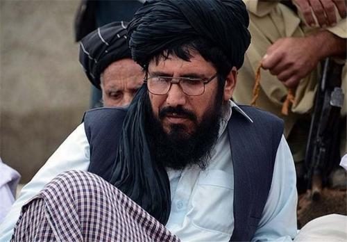 انتخاب 4 معاون برای سرکرده طالبان ناراضی افغانستان 