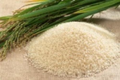 Rice price drops in global markets 