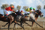 Horse racing in Gonbad-e Kavus 