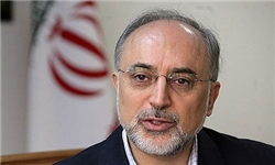 صالحی شهادت تعدادی از زائران امام رضا (ع) در پاکستان را تسلیت گفت