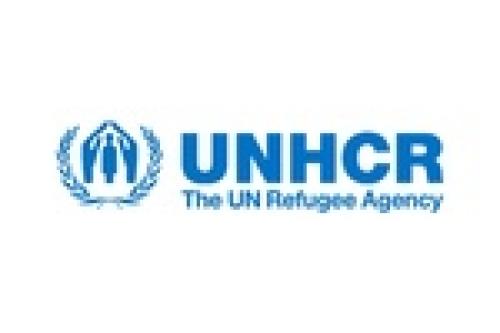UNHCR concerned about treatment to migrants after attacks 