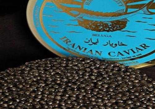 چه بر سر صادرات خاویار می آید؟/ مسیر نامعلوم مروارید سیاه 
