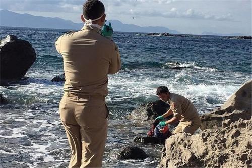 جسد دختربچه چهارساله سوری به ساحل ترکیه رسید + عکس
