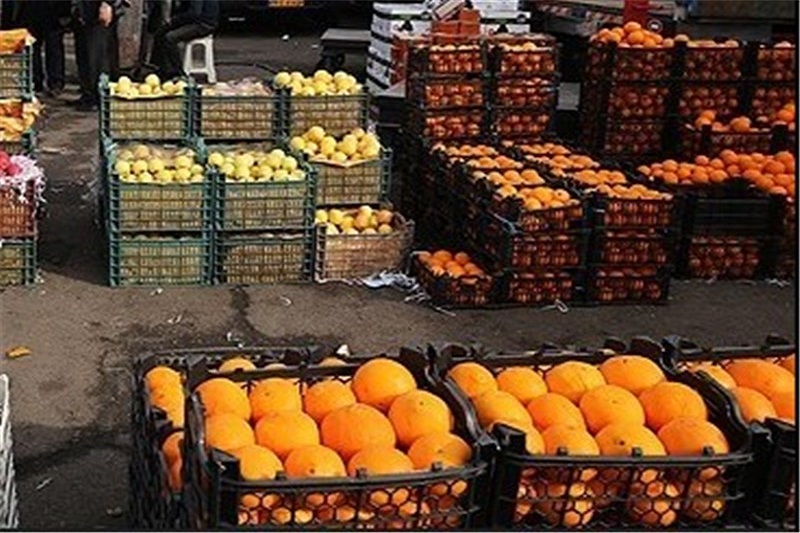  روسیه توقف واردات مواد غذایی ترکیه را با خرید از ایران جبران می‌کند 