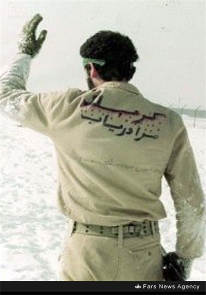 تصاویر/ به یاد آنان که راه کربلا را باز کردند