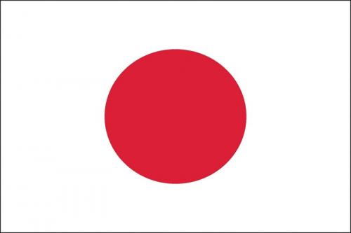  نهایی شدن طرح واحد ضدتروریستی ژاپن