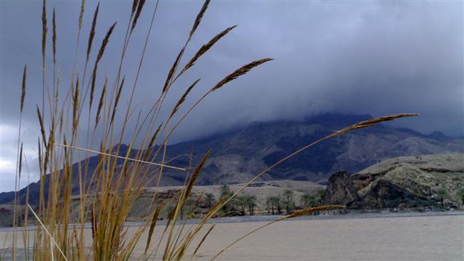 Iran mulls investment in giant titanium reserves