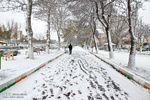 Snowfall in Ardebil 