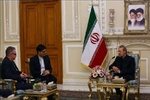Iran highly regards diplomatic, economic ties with Ireland 