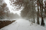 Shahroud under snow 