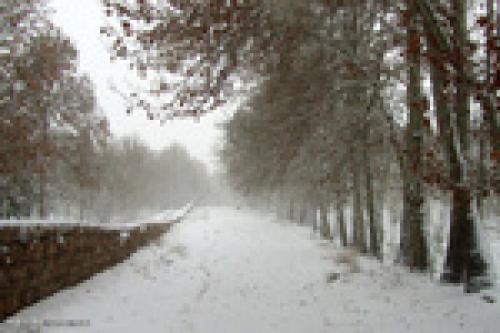 Shahroud under snow 