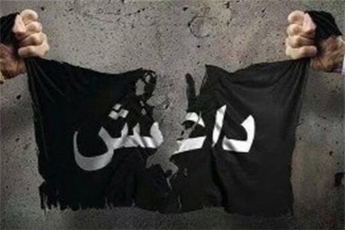 داعش به‌دنبال ایجاد جنگ‌های فرقه‌ای و مذهبی در منطقه است