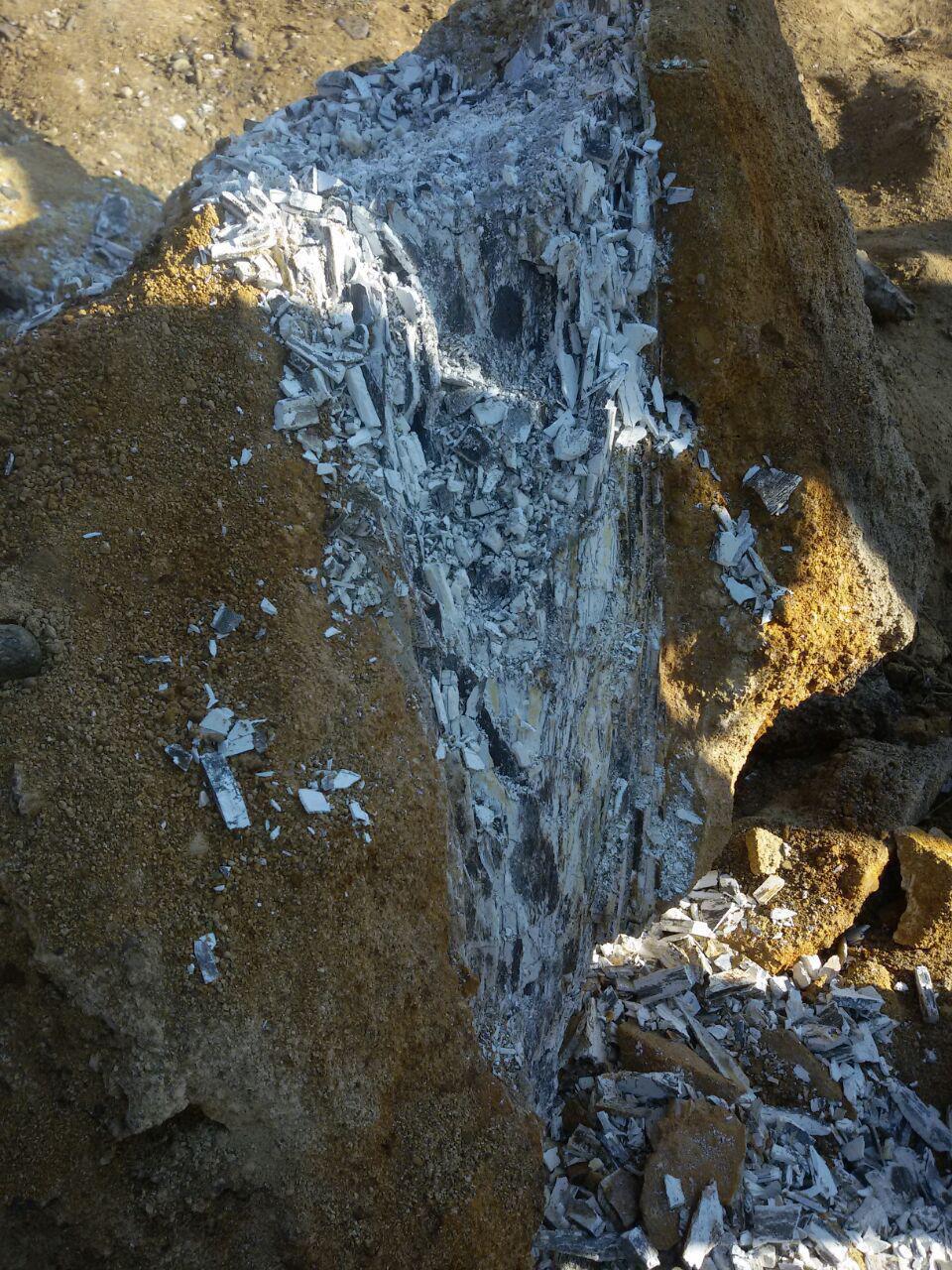 کشف بقایای جانور عظیم‌الجثه باستانی نادر در اردبیل + تصاویر 