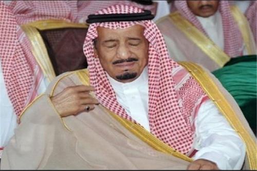  سکوت شاه سعودی از کشتار شیعیان در نیجریه و جانبداری از دولت