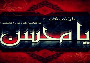 از حضرت محسن(ع) چه می‌دانید؟ 