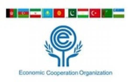 Art universities of ECO member countries to hold summit in Iran 