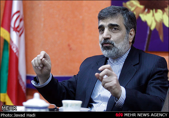 ساخت ۲نیروگاه اتمی مشترک با روسیه هفته آینده آغاز می‌شود