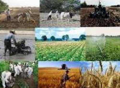 Iran-Baltic Sea countries to develop joint cooperation in the field of agriculture 