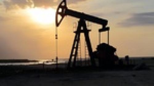 Oil drilling rises despite falling oil prices 