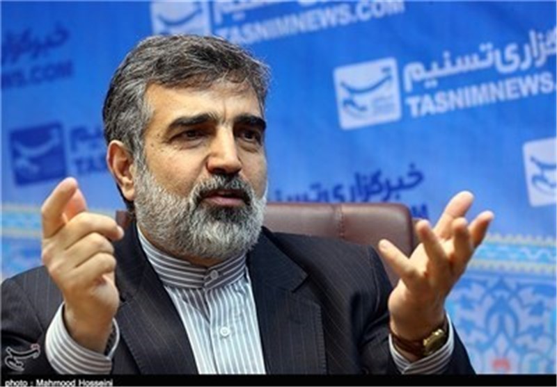 کمالوندی: تعداد زیادی از بازرس‌های آژانس وارد کشور شده‌اند 