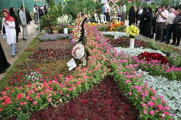 بی‌توجهی مسئولان به صادرات گل/ آماری از میزان تولید نداریم
