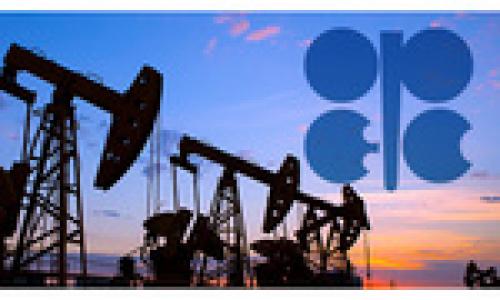 OPEC expects oil balance to be reached this year 