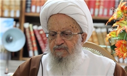 مسؤولان شاخ غول تورم را بشکنند/ پرهیز از حالت انفعالی در برابر دشمنان
