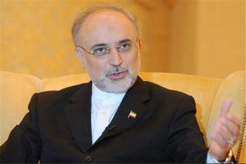 صالحی: ایران علاقمند به گسترش همکاری‌ها در زمینه راکتورهای کوچک و نیروگاه‌های برق هسته‌ای است