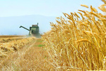 Iran, Italy cement agricultural ties 