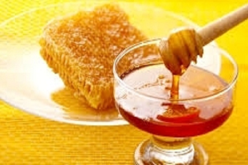 کاهش ۲۳ میلیون دلاری صادرات عسل/ صادرات ۱۰ ماهه ۵ میلیون دلار است