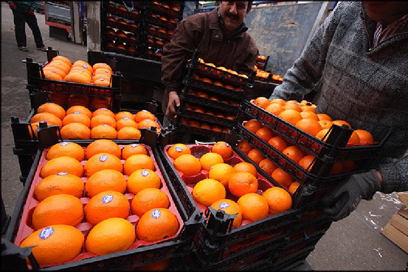 آغاز ذخیره‌سازی میوه شب عید