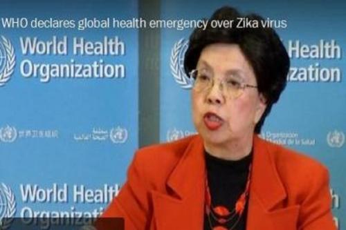 سازمان جهانی بهداشت ویروس زیکا را فوریتی جهانی دانست