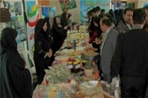 نمایشگاه فصلی بهاره در ۴ نقطه پایتخت برپا می‌شود