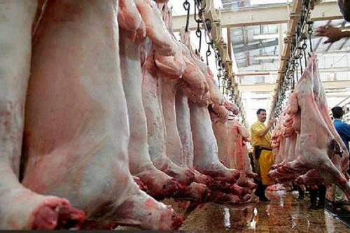 اختلاف نجومی قیمت گوشت از تولید تا بازار