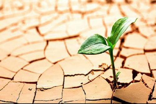 پیش‌بینی تغییرات جوی در 10 هزار سال آینده