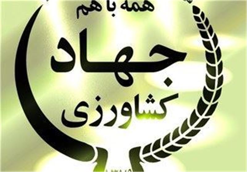 هیچ مجوزی برای تولید و رهاسازی محصولات تراریخته صادره نشده است 