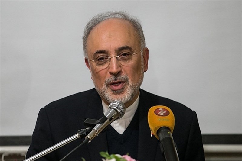  صالحی: برای احداث دو نیروگاه با چینی‌ها مذاکره می‌کنیم