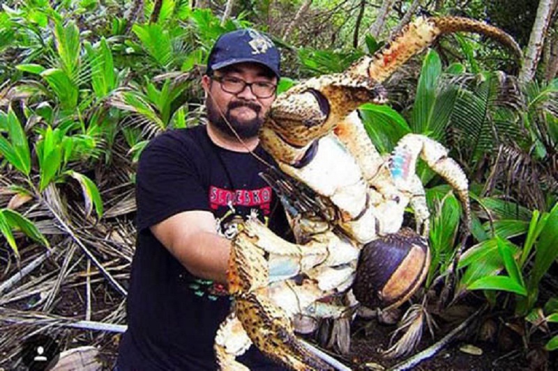 سلفی در آغوش خطرناک ترین خرچنگ غول‌پیکر+ عکس