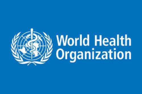 WHO warns about possible link between Zika virus, microcephaly 